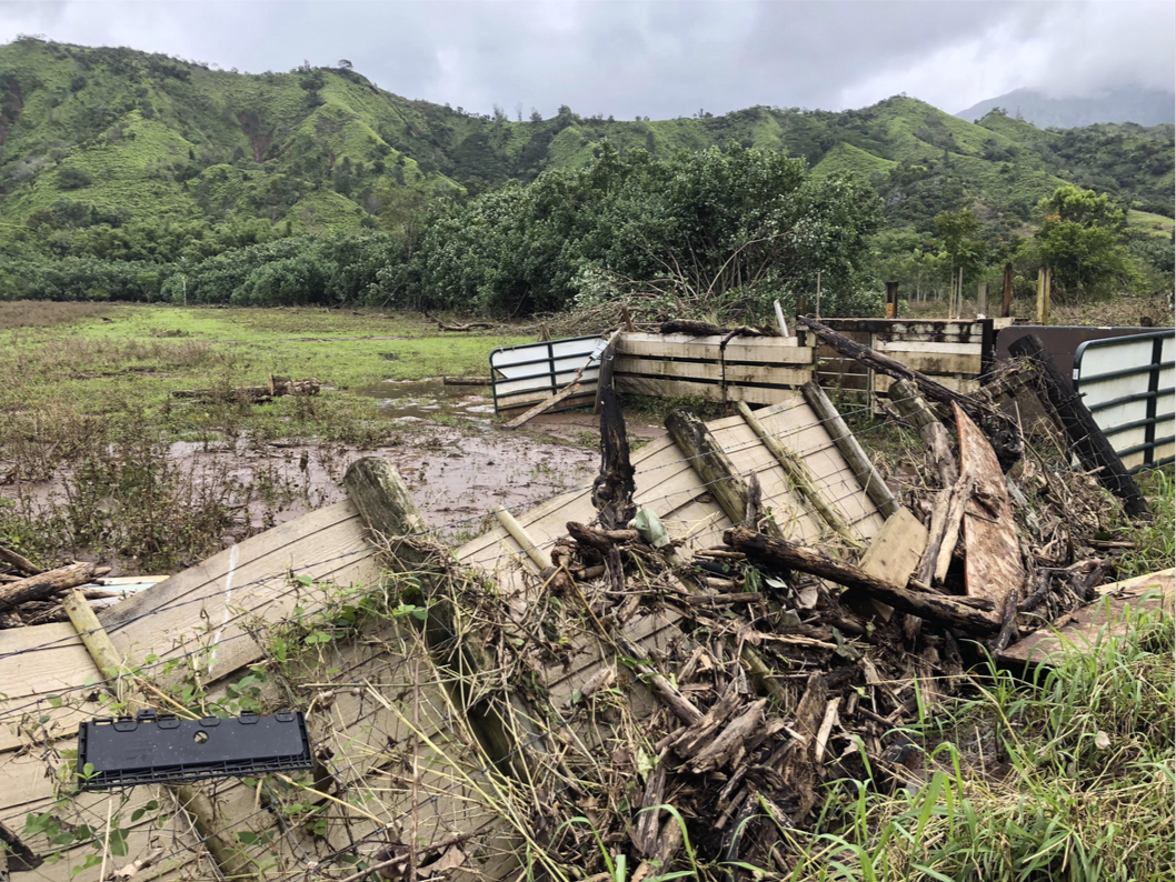 Uma foto colorida mostrando os danos causados ​​pelas enchentes na Ilha de Hanapepe. 